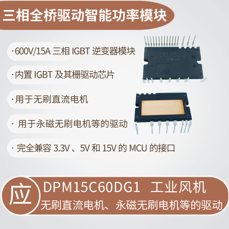 DPM15C60DG1 (1).png