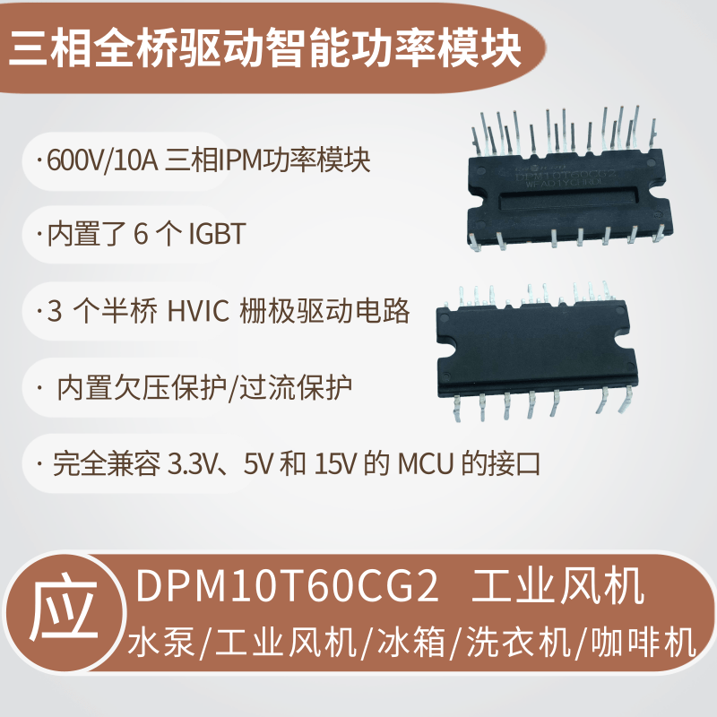 DPM10T60CG2 (2).png